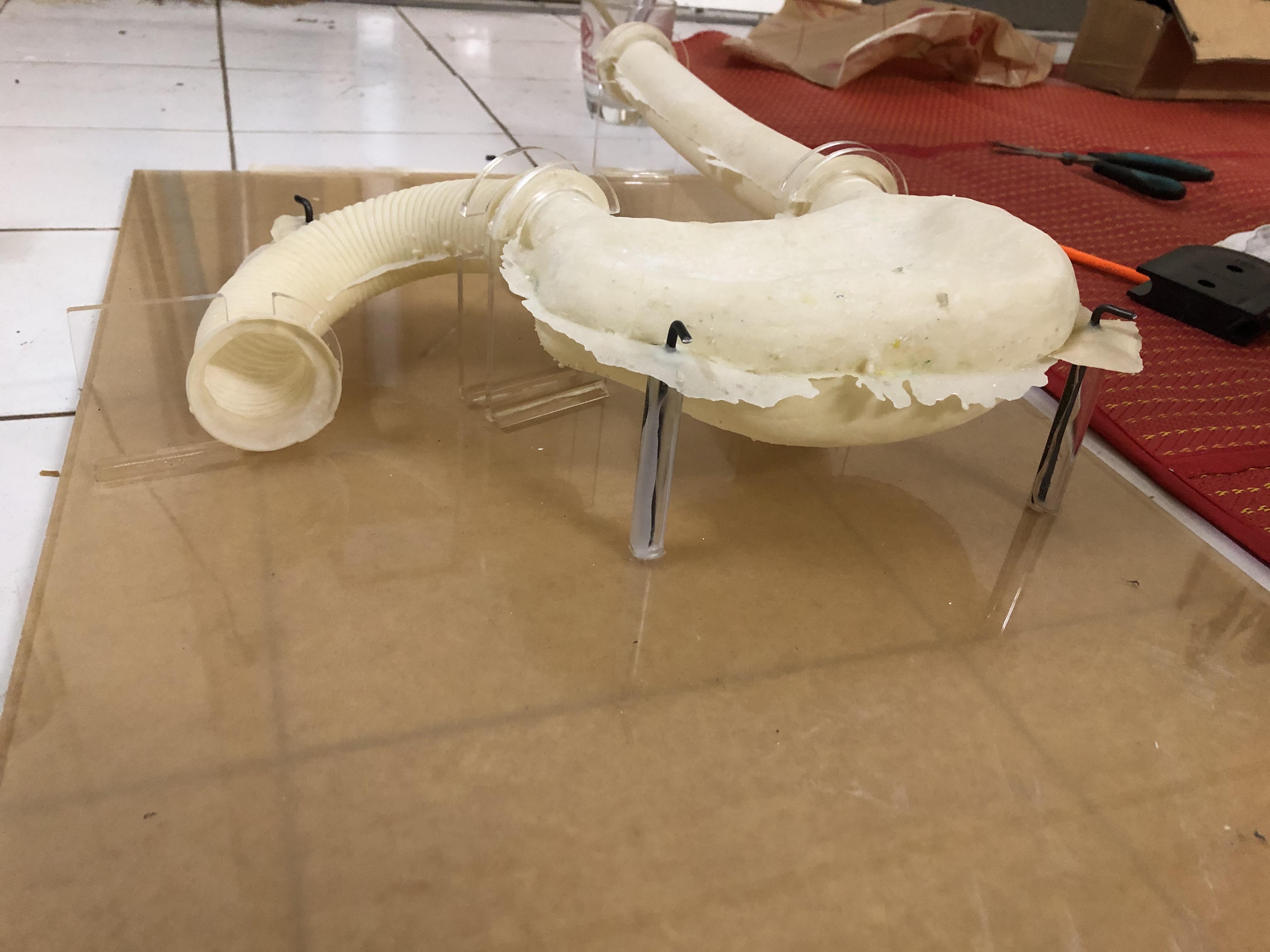 General model photo