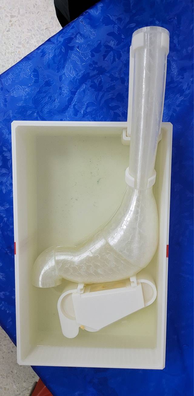 EUS-FNA/B model photo